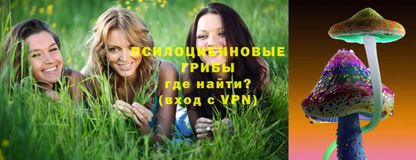 дмт Абаза