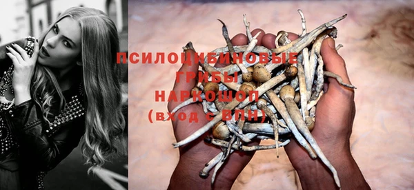 spice Абинск
